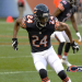 2015 Chicago Bears Roster: Full List of Players, Stats, and Team Info