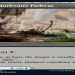 Top Blue-Black Fetch Lands in MTG: Why They’re Essential for Your Deck