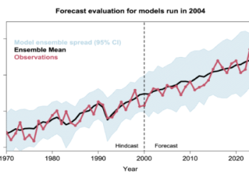 Understanding the 3.5 Wish Spell: Limitations and Potentials