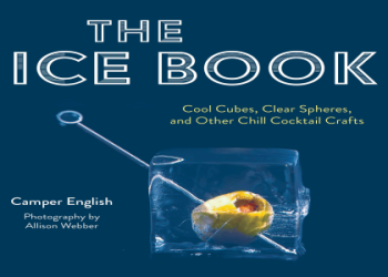 Adam Reader Net Worth: Discover Professor of Rock’s Earnings and Success