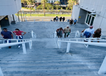 Best Seats at Petco Park: Is Section 325 a Good Choice? Read This Before the Game!