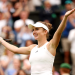 Rybakina vs Tomljanovic: Which Player is Better? (Simple Tips)