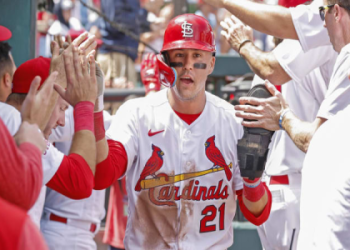 The tallest catcher in MLB: You wont believe how tall he is!