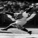 Learn the Yogi Berra Stance: A Beginners Guide to Baseball Hitting Success.