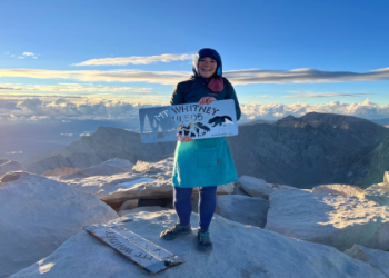 Mastering Valhalla Hole 7: Whats the Best Approach Here?