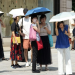 Hot Japan Prediction: Get the Latest News and Trends!