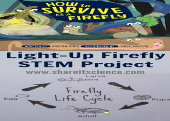 Firefly Prefarm Materials: The Quick Way to Prepare for Firefly