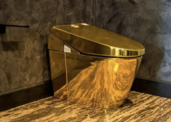 Gold Bathtub Reviews: Are Golden Bathtubs Worth the Investment?