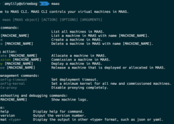 The Basics of Administrative Timeout: Everything You Need to Understand