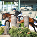Shop Harry Hall Riding Wear: Find the Perfect Equestrian Outfit,Best price all in!