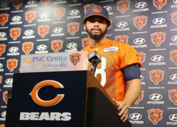 Hurst or Schultz: Which One is Better for Your Needs (A Simple Guide)