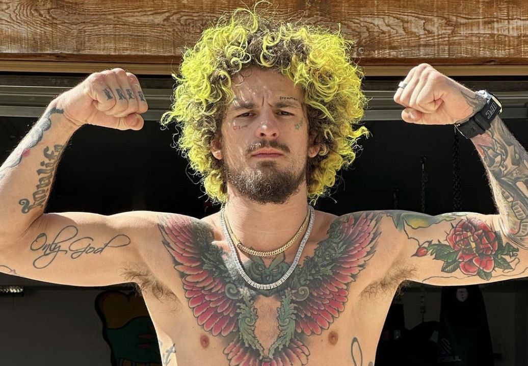 Sean OMalley Tattoos: How many tattoos does he have? Read about the meaning of each of his tattoos.
