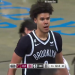 How Big Is Cameron Johnsons Wingspan? (Quick Guide for Basketball Fans)