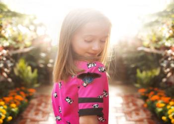 What are the best bowler decks right now? Check out these top picks for easy wins and climbing ladder.