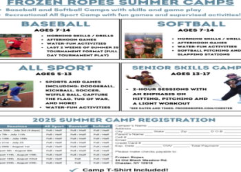 Frozen Baseball Fun: What to Know Before You Play