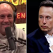 Seriously, why do people hate Joe Rogan so much? A simple look into the criticisms of his podcast show.